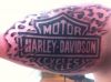 harley davidson